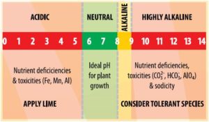 Soil pH Value