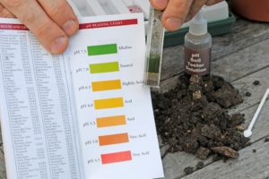 Soil PH Test