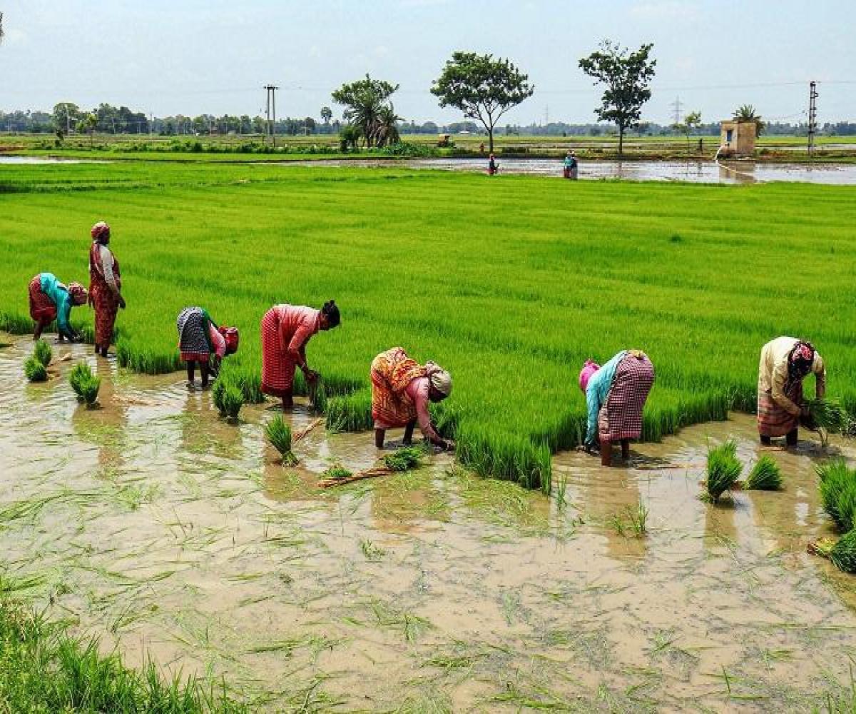 Vedic farming method