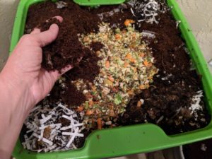 Vermi compost