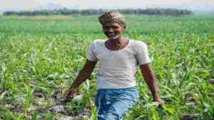 Tumba Farming