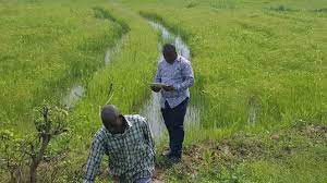 Tumba Farming is the best for farmers