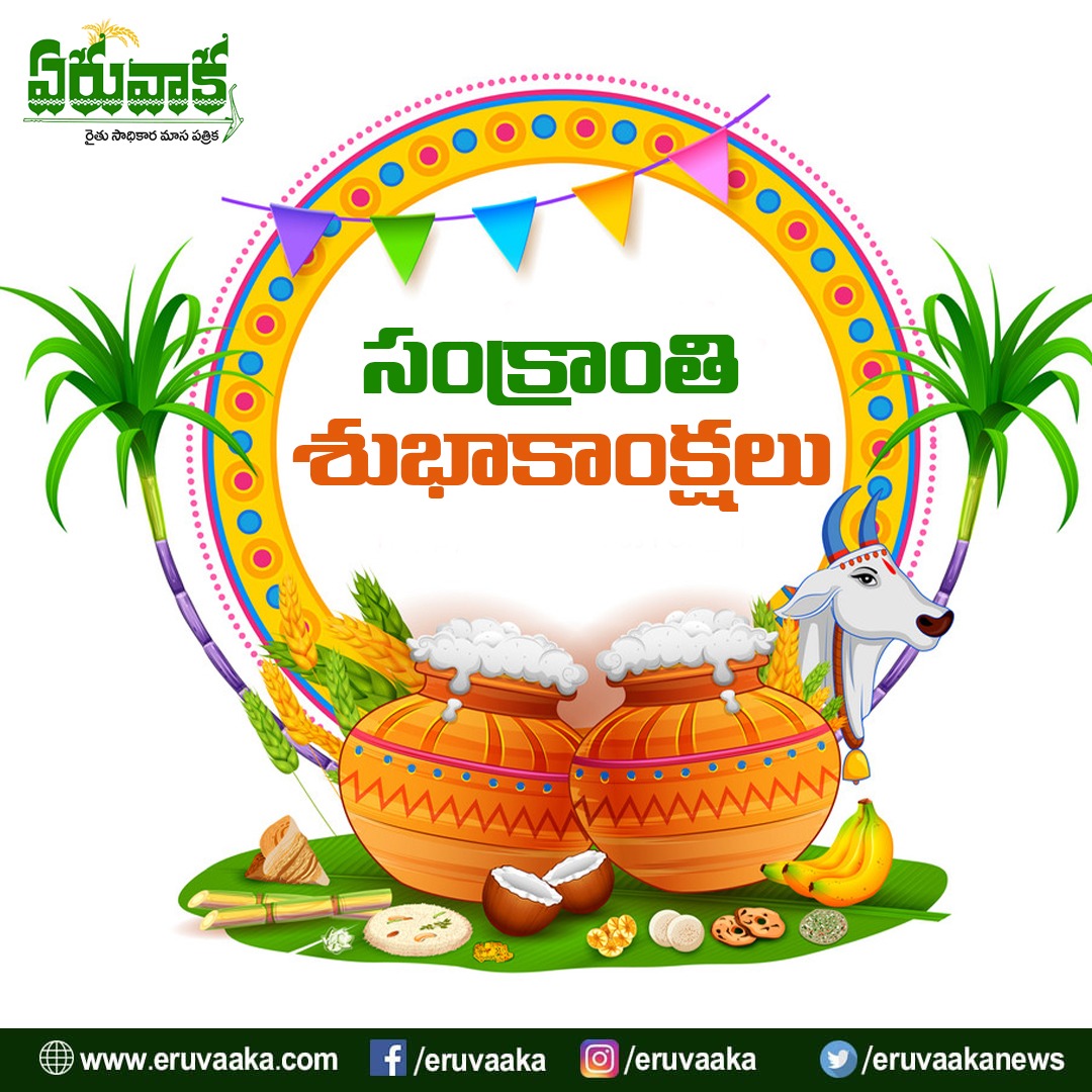 sankranthi festivals 2022