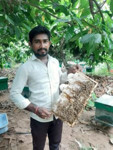 Organic Honey Farming By Farmer Surendra 