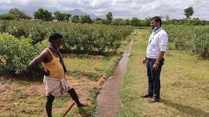 Indian Young Farmers 