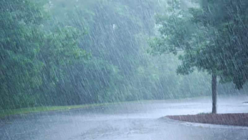 unseasonal rains