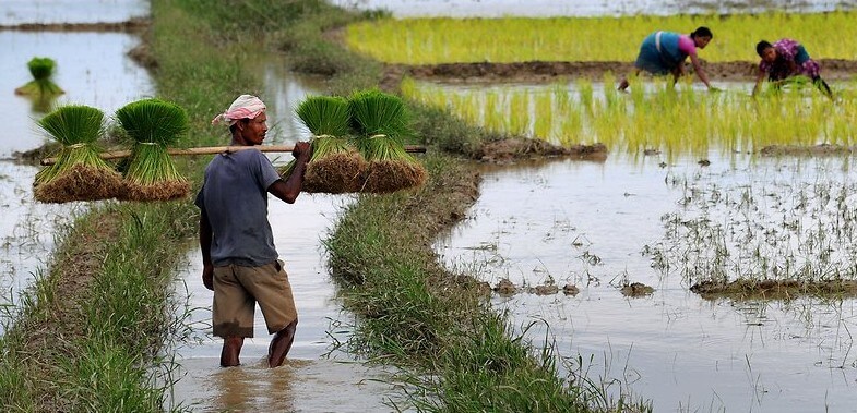 Assam Agricultural Commission