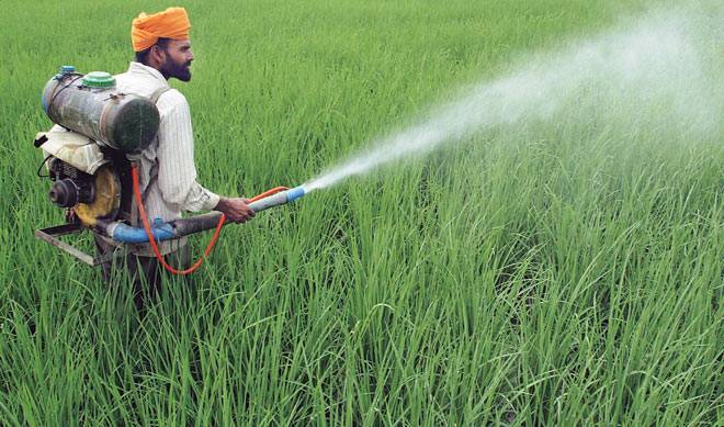 chemical pesticides