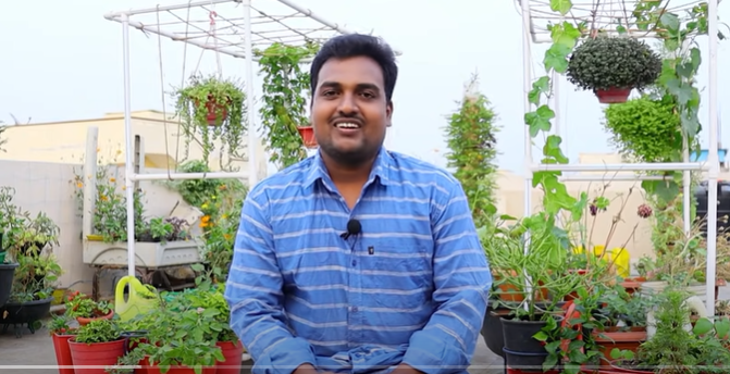 Terrace Gardening