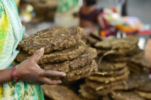 Cow Dung Cakes