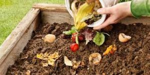 Organic Fertilizers Benefits