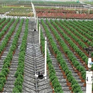 Drip Irrigation in India