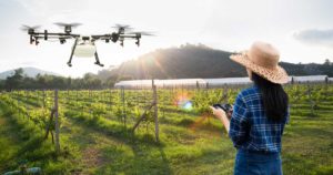 Drones in Agriculture