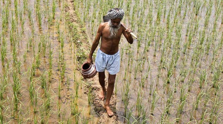 Madhya Pradesh farmers