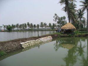 Aqua Culture - Fish Farming