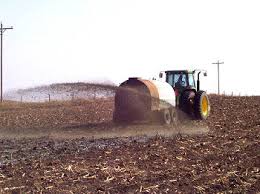 Soya Bean Farming