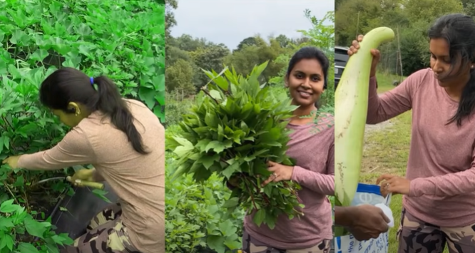 Organic Farming by Indian Women