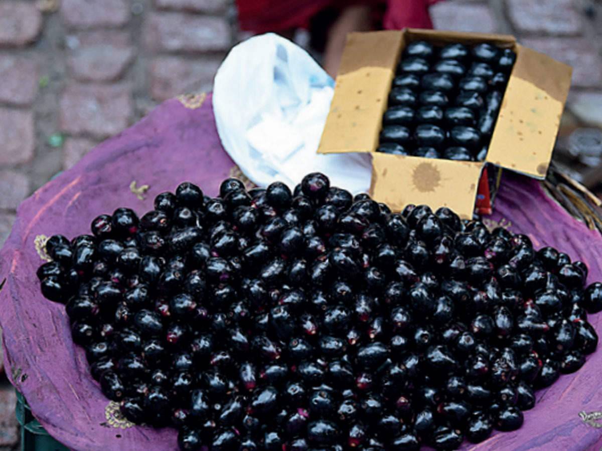 Jamun Cultivation