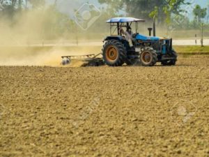 Fenugreek Farming