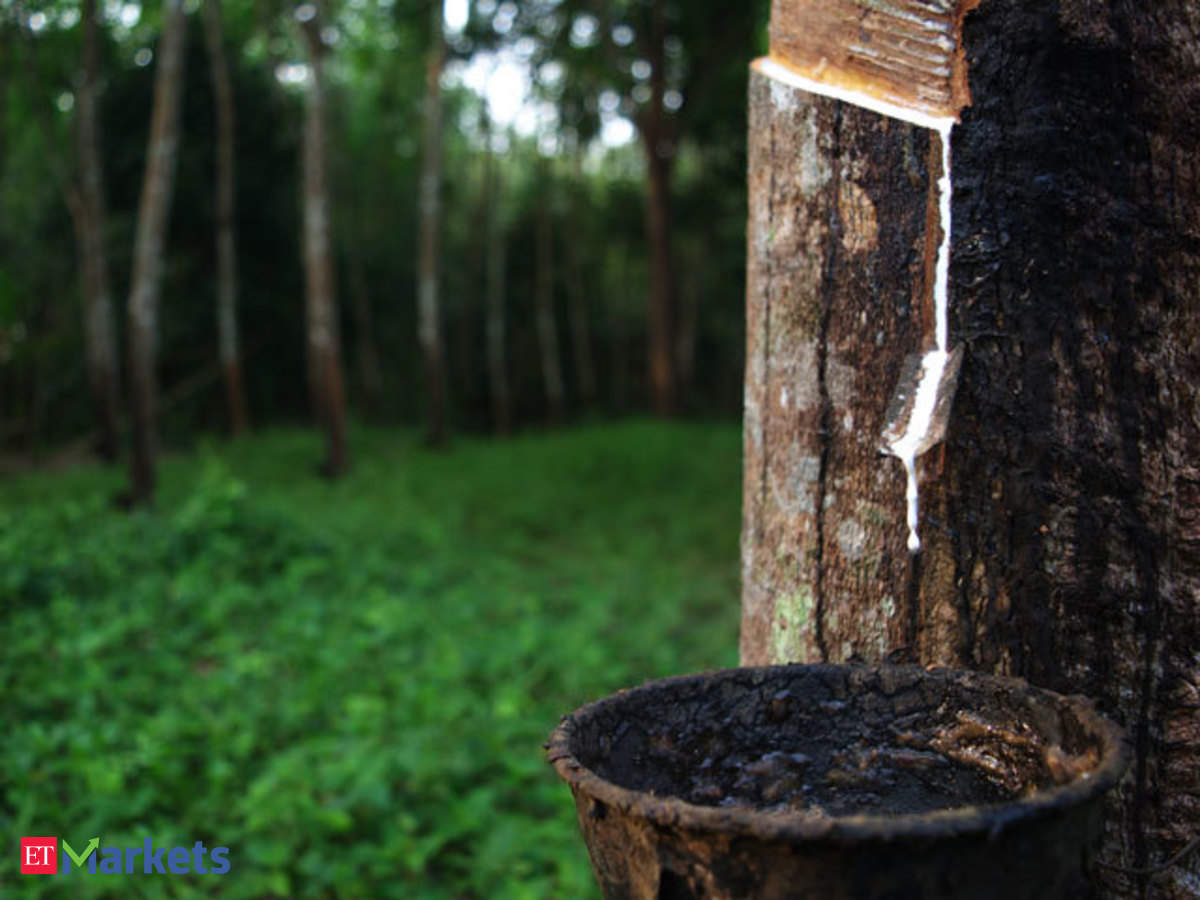 Rubber Price In India