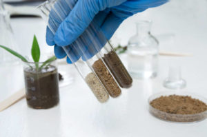 Soil Testing Procedure