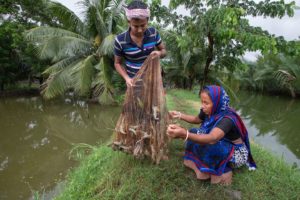 Prawn Farming