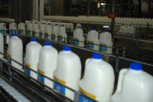 Milk Factory