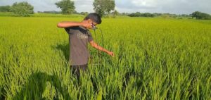 Young Scientist - Gorre Ashok