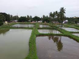 Aqua Culture - Fish Farming