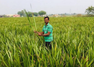 Farmer Mavuram Mallikarjun