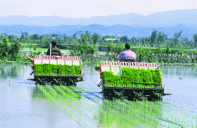 Kerala farmer made plantation machine made of jugaad