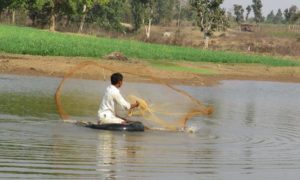 fish farmers