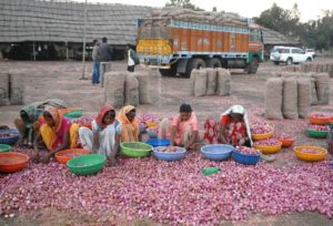 Solapur Mandi