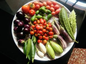 Sujanireddy Vegetables