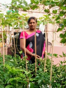 Gardener Sujanireddy