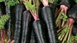 Black Carrot Benefits