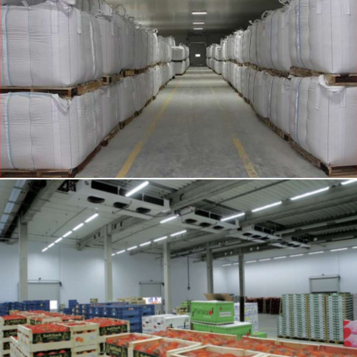 Cold Storage Business