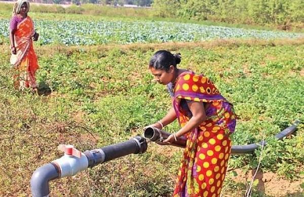 Gond Women Farmers