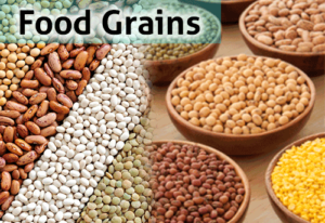 Foodgrains