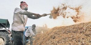 Madhya pradesh farmers not getting money for their procured crop due to low quality standard issued by fci