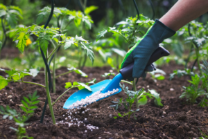 Soil Health Card Scheme