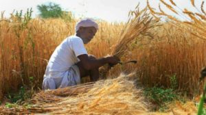 maharastra farmers