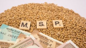 MSP - Minimum Support Price