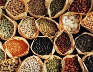 Oilseeds And Legumes Family