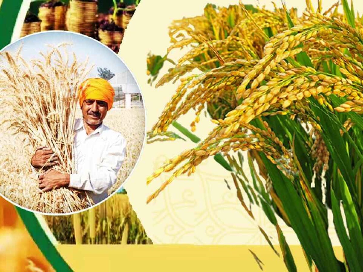 Rajasthan Agriculture Budget 2022