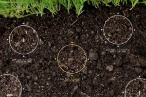 Soil Test