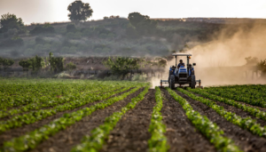 Agriculture Infrastructure