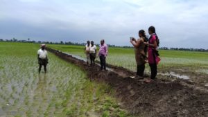 Indian Farmers