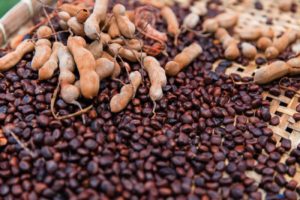 Tamarind Seed Benefits