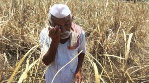 Madhya pradesh farmers not getting money for their procured crop due to low quality standard issued by fci